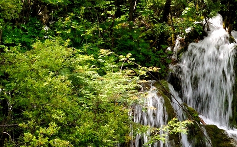 粉象生活团队培训费用