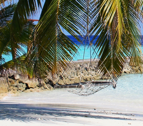 粉象生活邀请码选哪个好