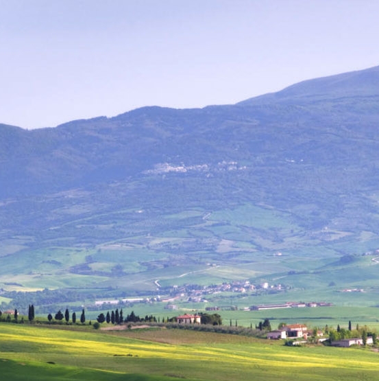 粉象生活在哪里添加粉丝