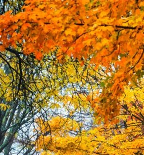 粉象传媒有限公司