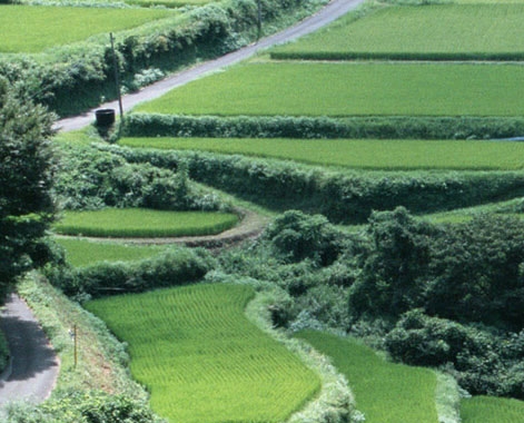 粉象生活要不要用信用卡