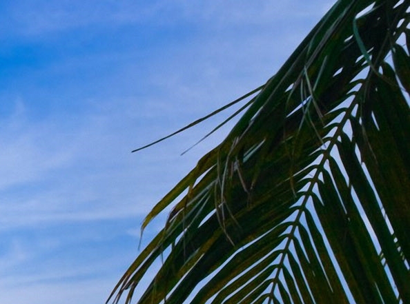 包头粉象生活注册