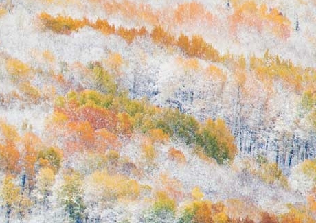 潍坊粉象生活注册