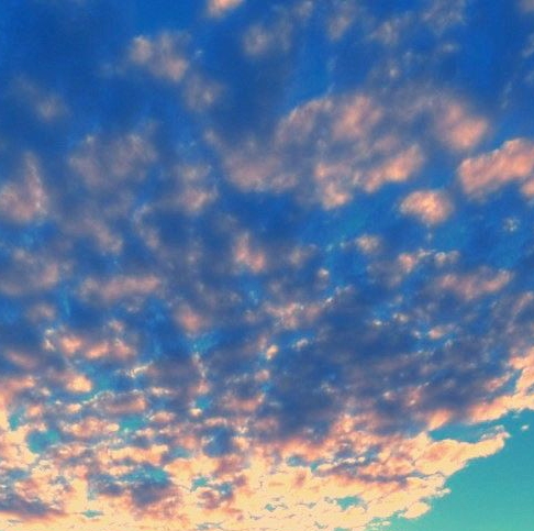 如何加入粉象生活推广