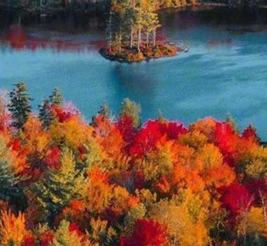 粉象生活没有邀请码怎么办