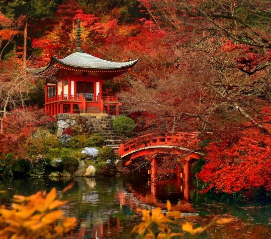 粉象生活拼团