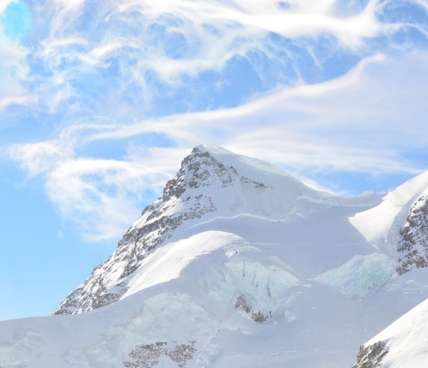 泰州粉象生活注册