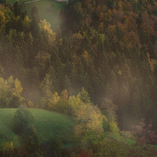 如何注销粉象账号