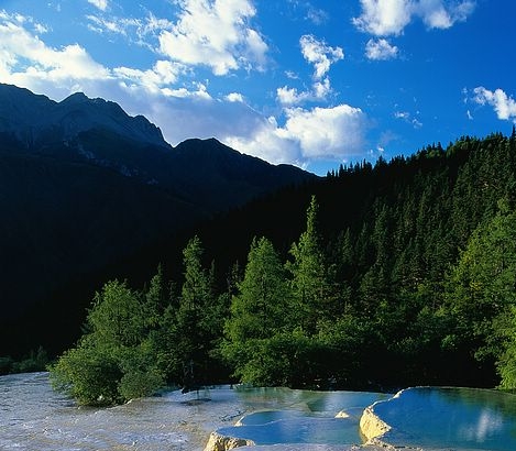 怎样成为粉象生活的超级会员