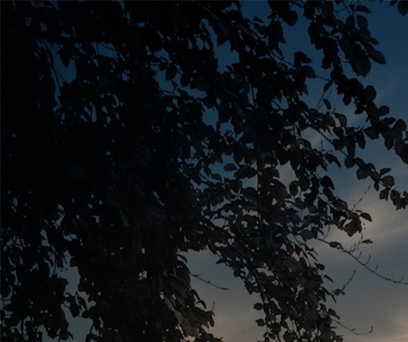 粉象生活邀请码填哪个好