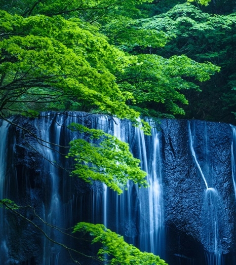 粉象生活推广文章