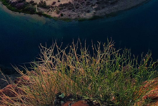 菏泽粉象生活vip注册网站