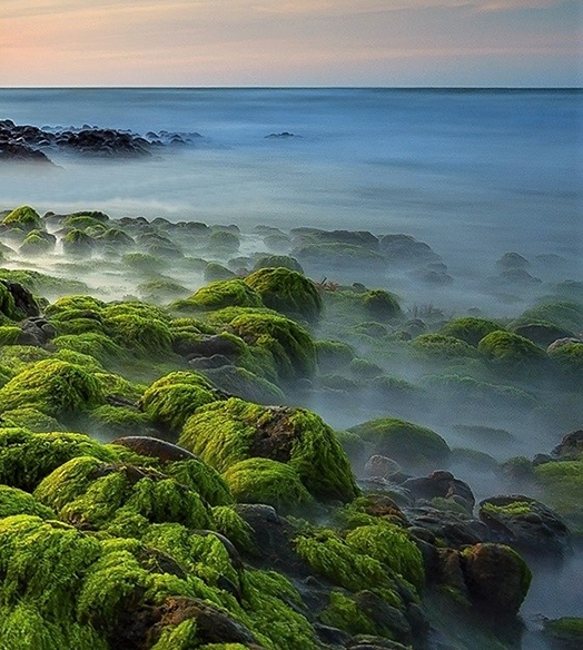 菏泽粉象生活注册收入