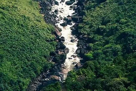粉象生活公司