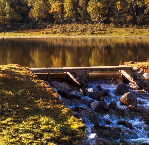 实卡短信验证码平台