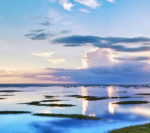 吉安粉象生活团队