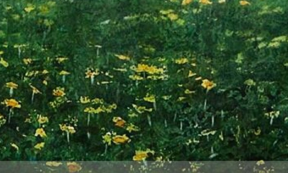 粉象生活能不能不要邀请码