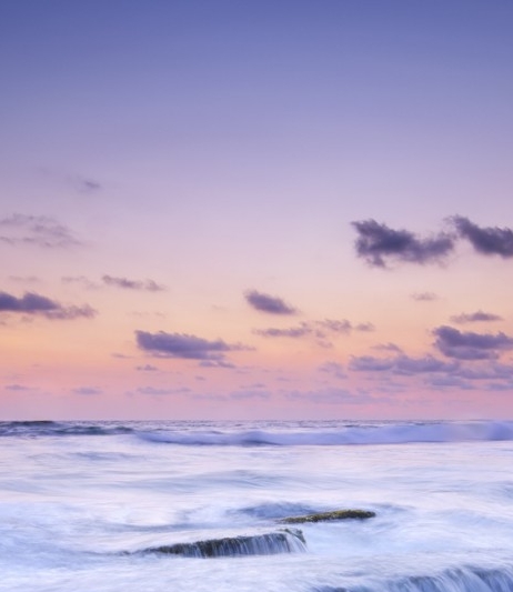 粉象生活官方邀请码哪一个是真的