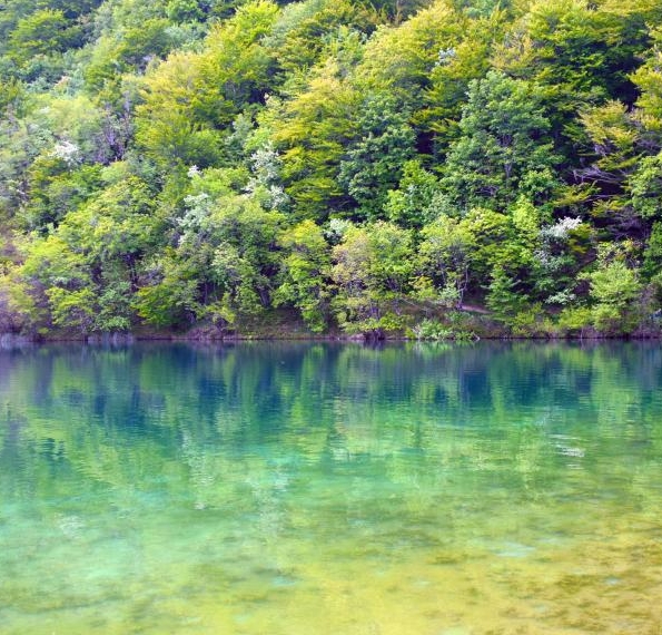 山东临沂粉象生活团队