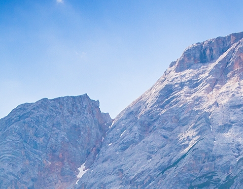 下载粉象生活最新版