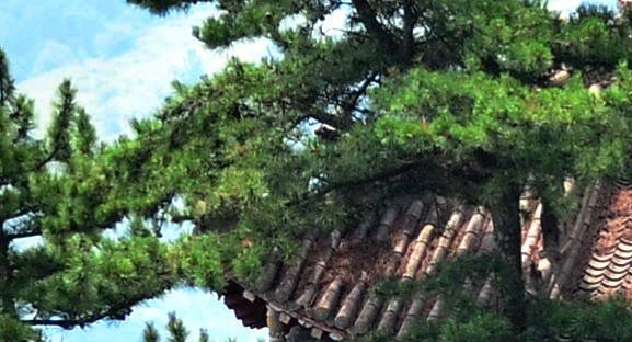 粉象生活负面缠身