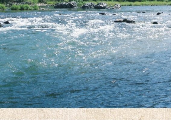 粉象生活邀请码在哪里填写
