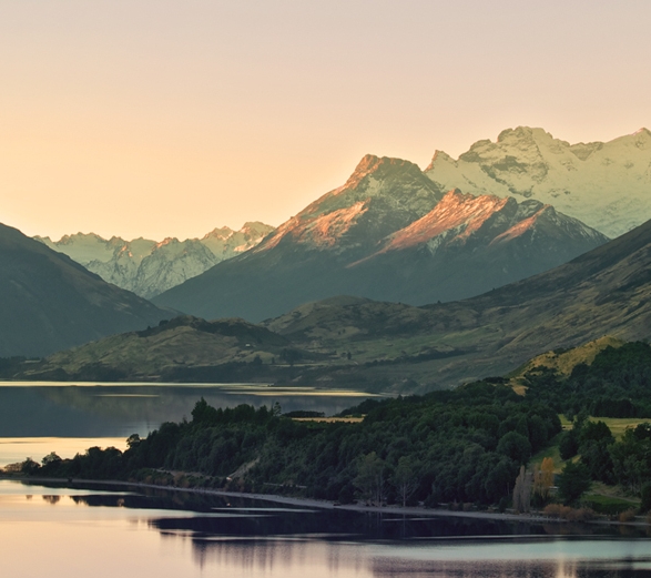 亳州粉象生活受邀注册申请