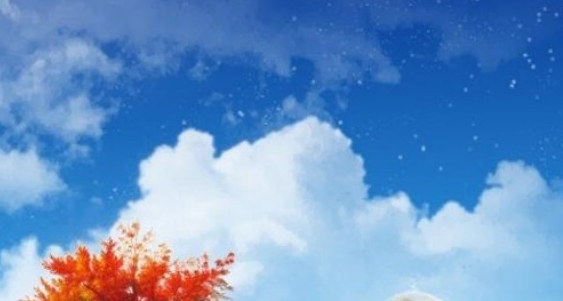 幼儿教师教育经验分享