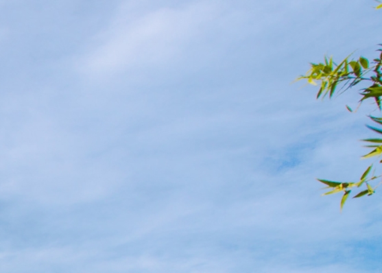 纷享销客单点登录