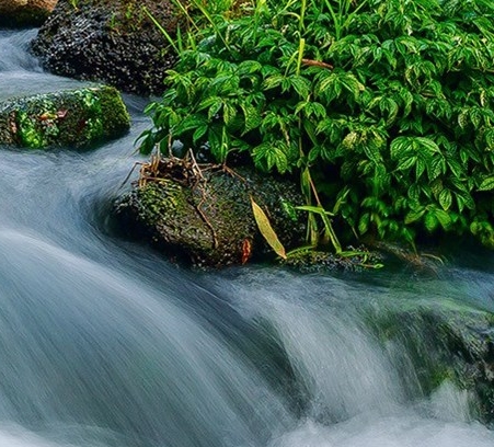 2023百度云会员共享