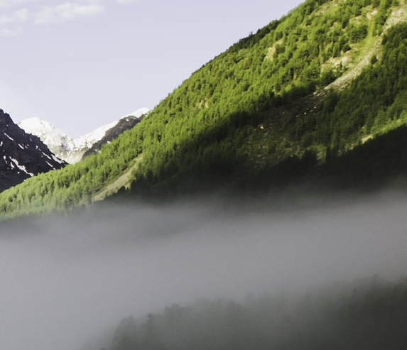 百度云共享VIP账号网站