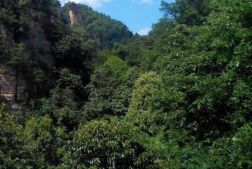分享sdk 海外