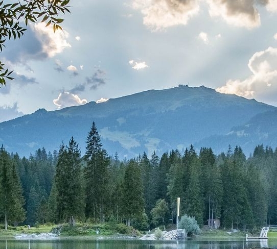 纷享销客扫码登录