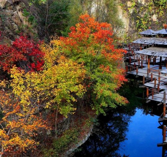 百度网盘vip账号分享