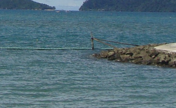 百度云实时链接分享