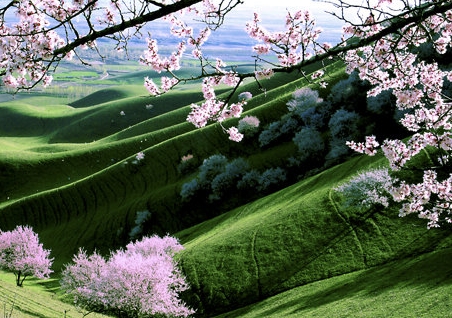 百度云群组分享实时链接免费