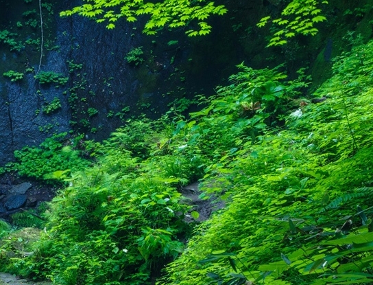 如何入驻本地惠生活