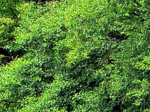 飞车主播福利码