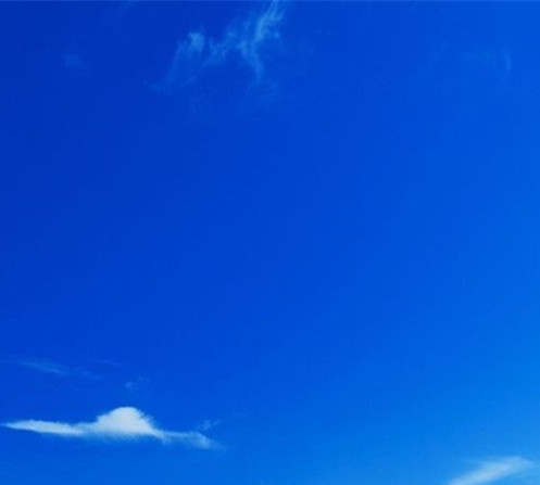 教师经验分享心得体会