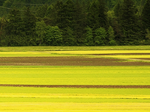 如何查询已登录过的wifi密码