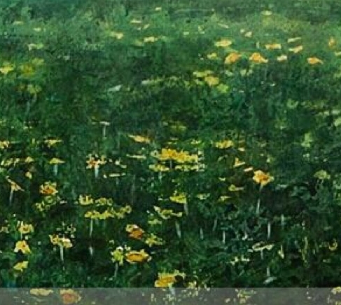 苹果靠近了没弹出共享密码