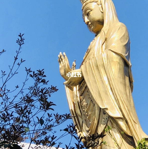 淘宝如何分享链接