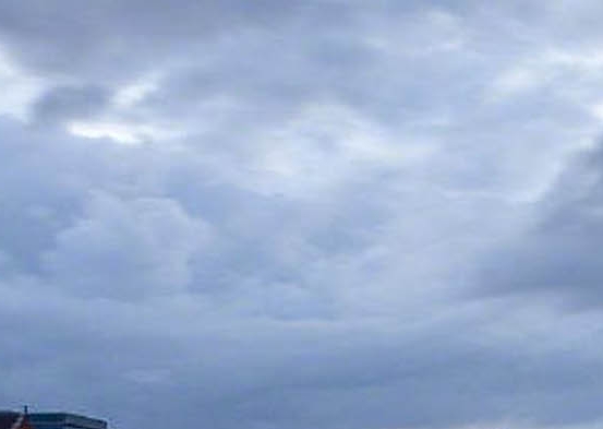 乐绘分享谷雨