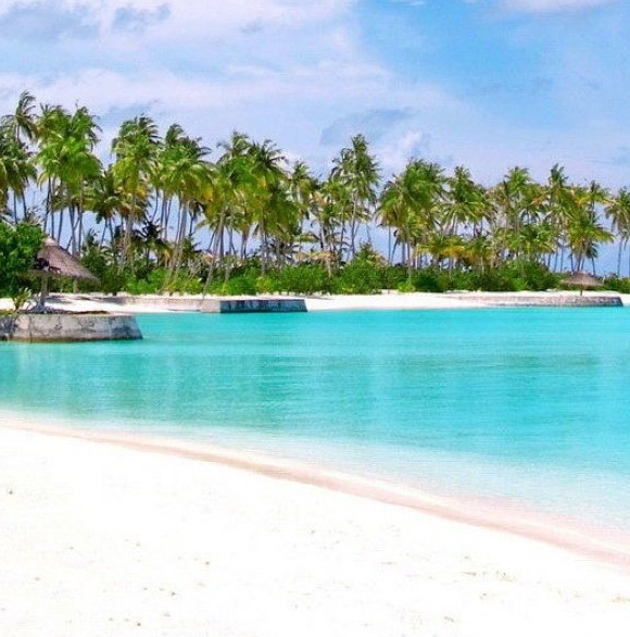 e站账号分享一下