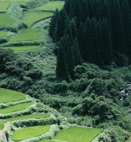 抖音账号分享软件