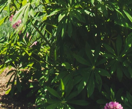 用户分享