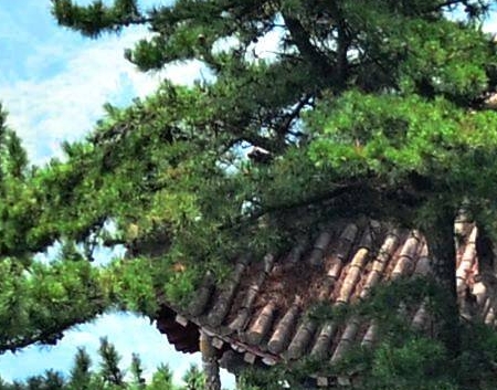 家庭教育每日早安分享