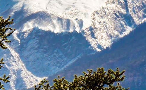 美国ID共享每日更新