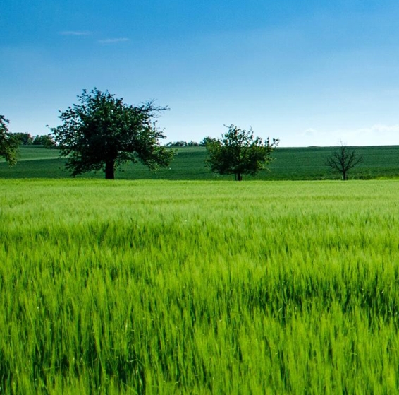 企查查vip账号免费分享