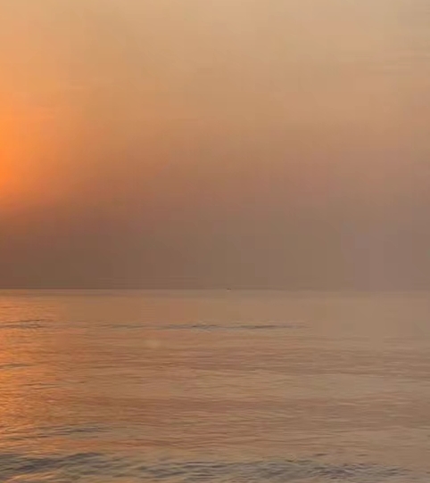 分享功能实现:安卓应用分享实现与登录功能代码